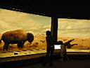 Denver Museum of Natural History 07
